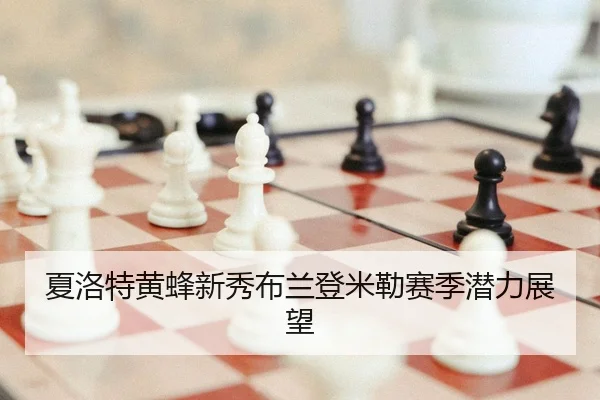 夏洛特黄蜂新秀布兰登米勒赛季潜力展望